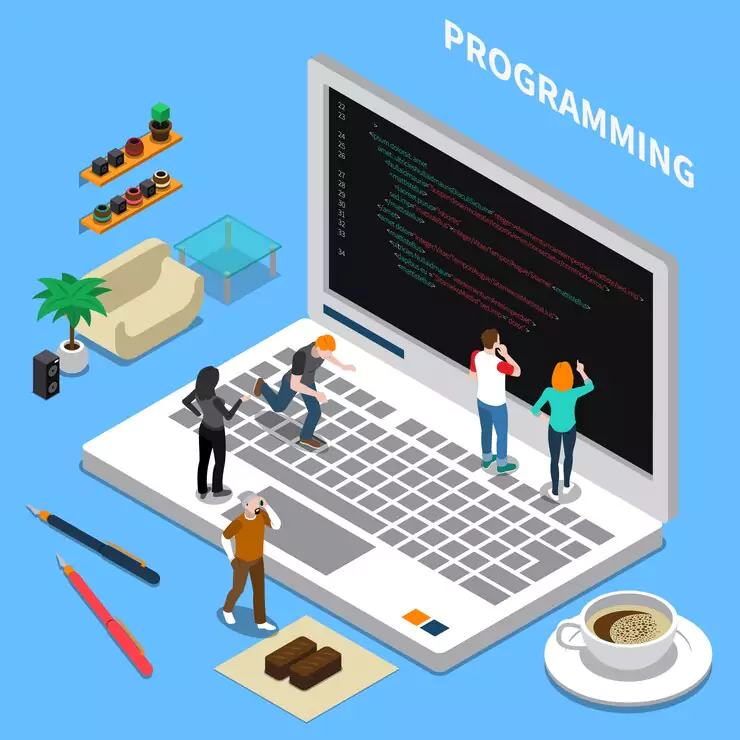 professional-programming-course